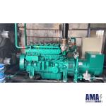 1,000Kw gas Generator set fueled by Natural gas, biogas from farms, Factories...