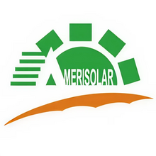 Amerisolar (Worldwide Energy and Manufacturing USA Co., Ltd.)