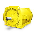 Low and high Voltage Squirrel cage Induction motors