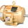 Super-E® Premium Efficient AC Motor